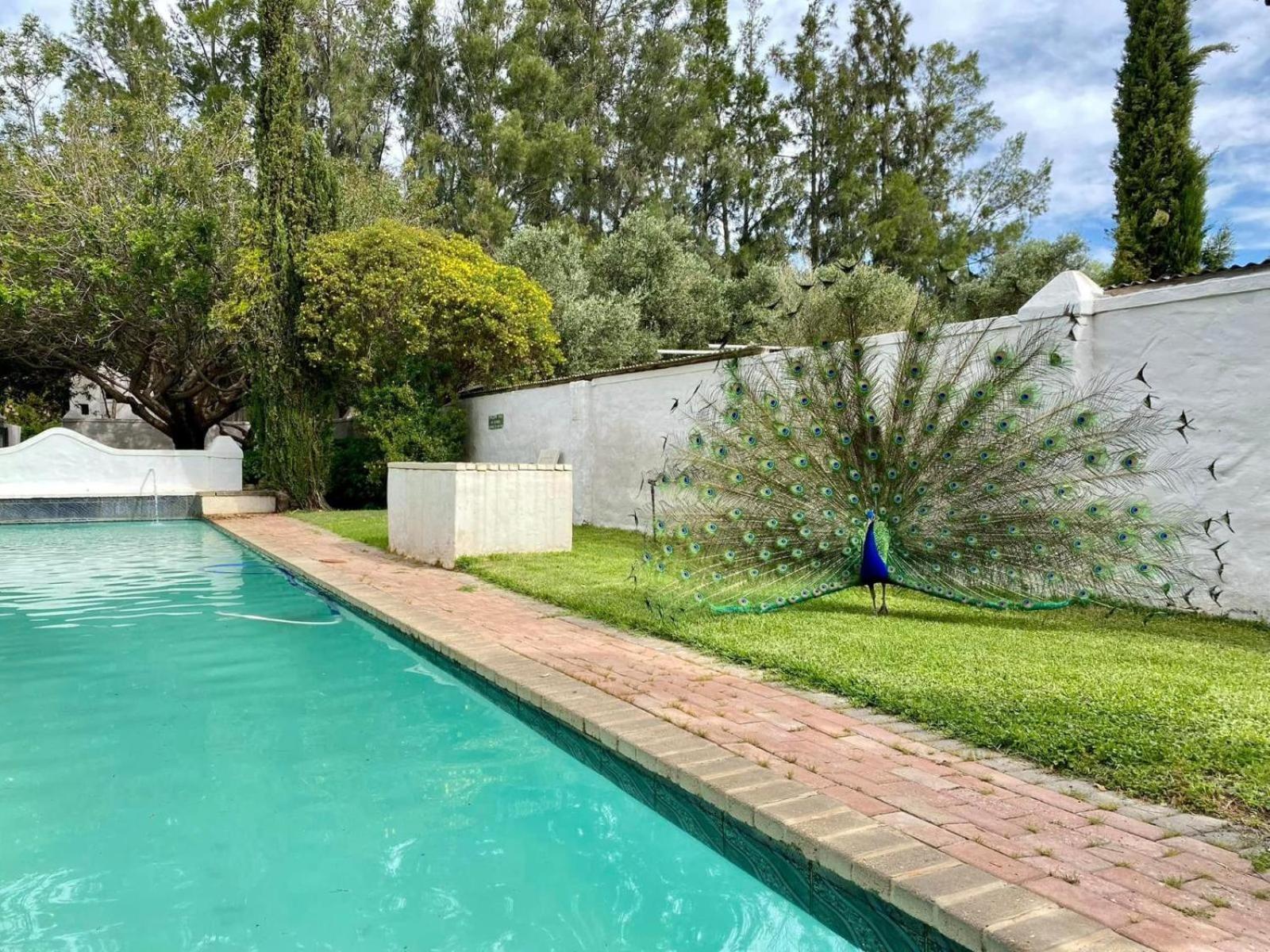 Resort Temenos Retreat McGregor