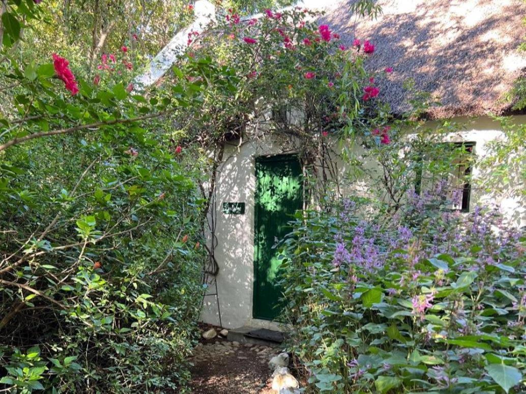 Resort Temenos Retreat McGregor